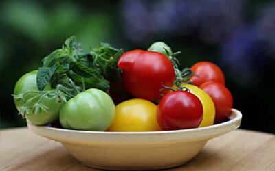 Nutrirsi di colori e di luce