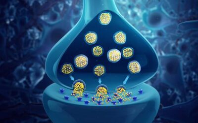 I neurotrasmettitori e la depressione