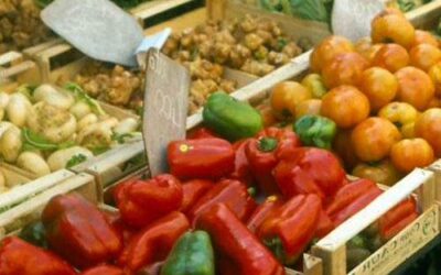 Alimentazione e cancro. Appunti
